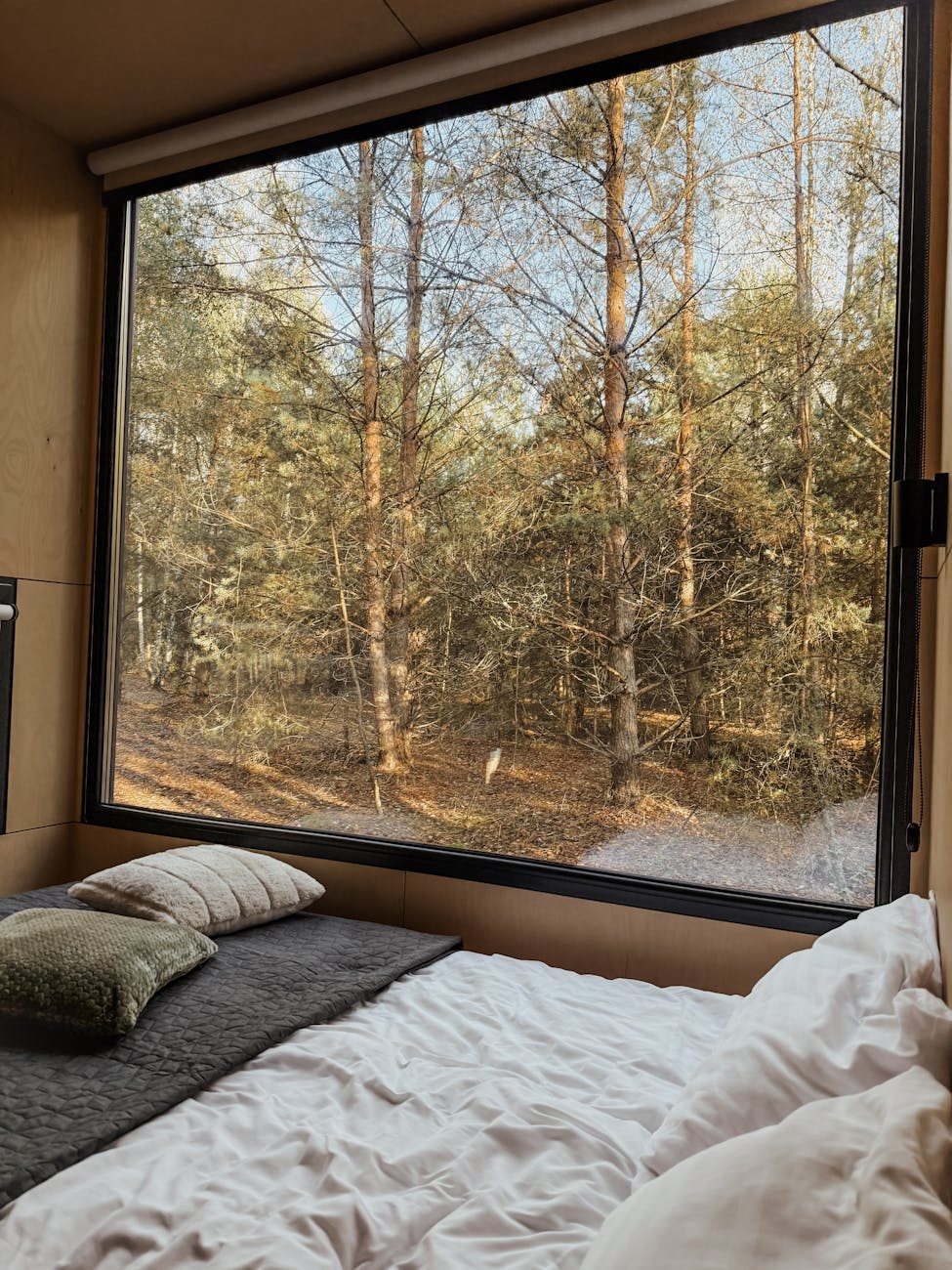 Misty Forest Cabin Adult Selfie Portrait ChatGPT Image Prompt Example 1 before image